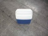 portable cooler box