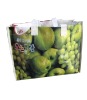 pp Non woven promotional bag