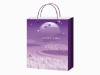 pp bag,gift bag,promotion bag