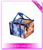 pp disposable cooler bag