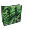 pp eco green  lamination non woven bag