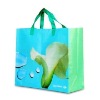 pp laminated woven advertising bag