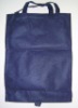 pp non woven Shopping bag