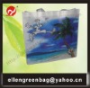 pp non woven advertising bag