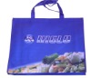 pp non woven bag