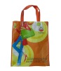 pp non woven bag