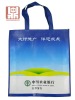 pp non woven bag