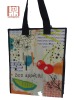 pp non woven bag