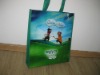 pp non woven bag