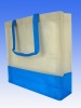 pp non woven bag(CL-264)