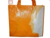 pp non woven bag for shopping