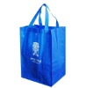 pp non woven bag for shopping(N600342)