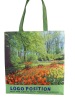 pp non-woven bag,non-woven fabric bag,non-woven tote bag