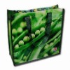 pp non-woven bag,non-woven fabric bag,non-woven tote bag