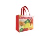 pp non-woven bag,non-woven fabric bag,non-woven tote bag