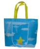 pp non woven bag promotional bag