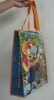 pp non woven foldable bag