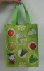 pp non woven foldable bag