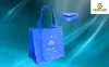 pp non woven foldable shopping bag