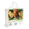 pp non woven gift bag