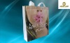 pp non woven laminate bag