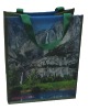 pp non woven laminated bag