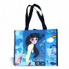 pp non woven promotion bag