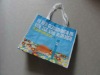 pp non woven shopping bag