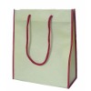 pp non woven shopping bag