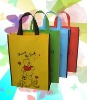 pp non woven shopping bag