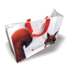 pp non woven shopping bag