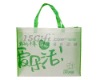 pp non woven shopping bag