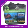 pp non-woven shopping bag