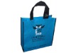 pp non woven shopping bag