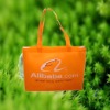 pp non-woven shopping bag