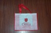 pp non woven shopping bag