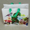 pp non woven shopping bag