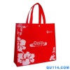 pp non-woven shopping bag