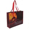 pp non woven shopping bag