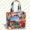 pp non-woven shopping bag