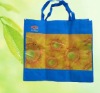 pp non woven shopping bag