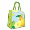 pp non woven shopping bag