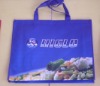 pp non woven shopping bag