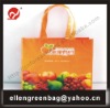 pp non woven shopping bag