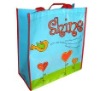 pp non woven shopping bag