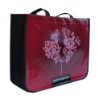 pp non woven shopping bag(N800248)