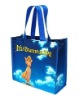 pp non woven shopping bag(N800256)