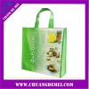 pp non woven shopping bags