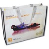 pp non woven shopping bags