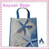 pp nonwoven gift bag